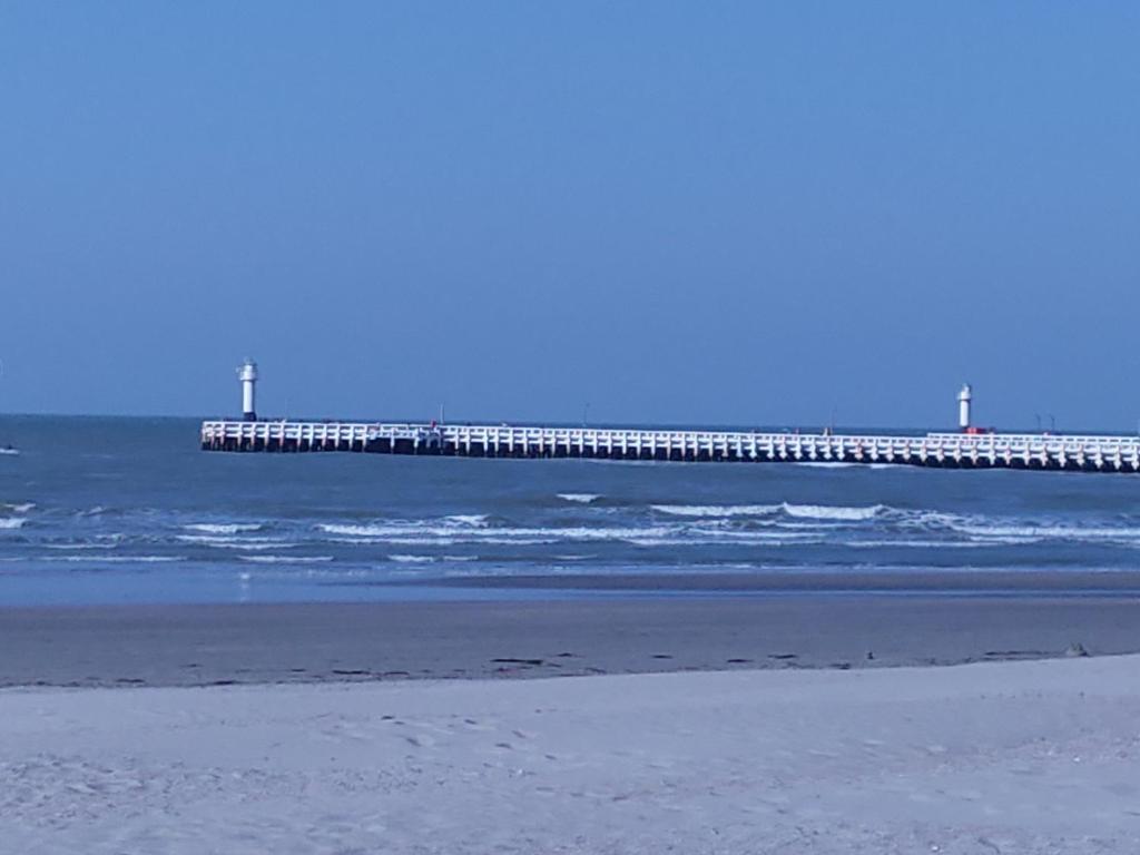 Studio Havenzicht Nieuwpoort Ngoại thất bức ảnh