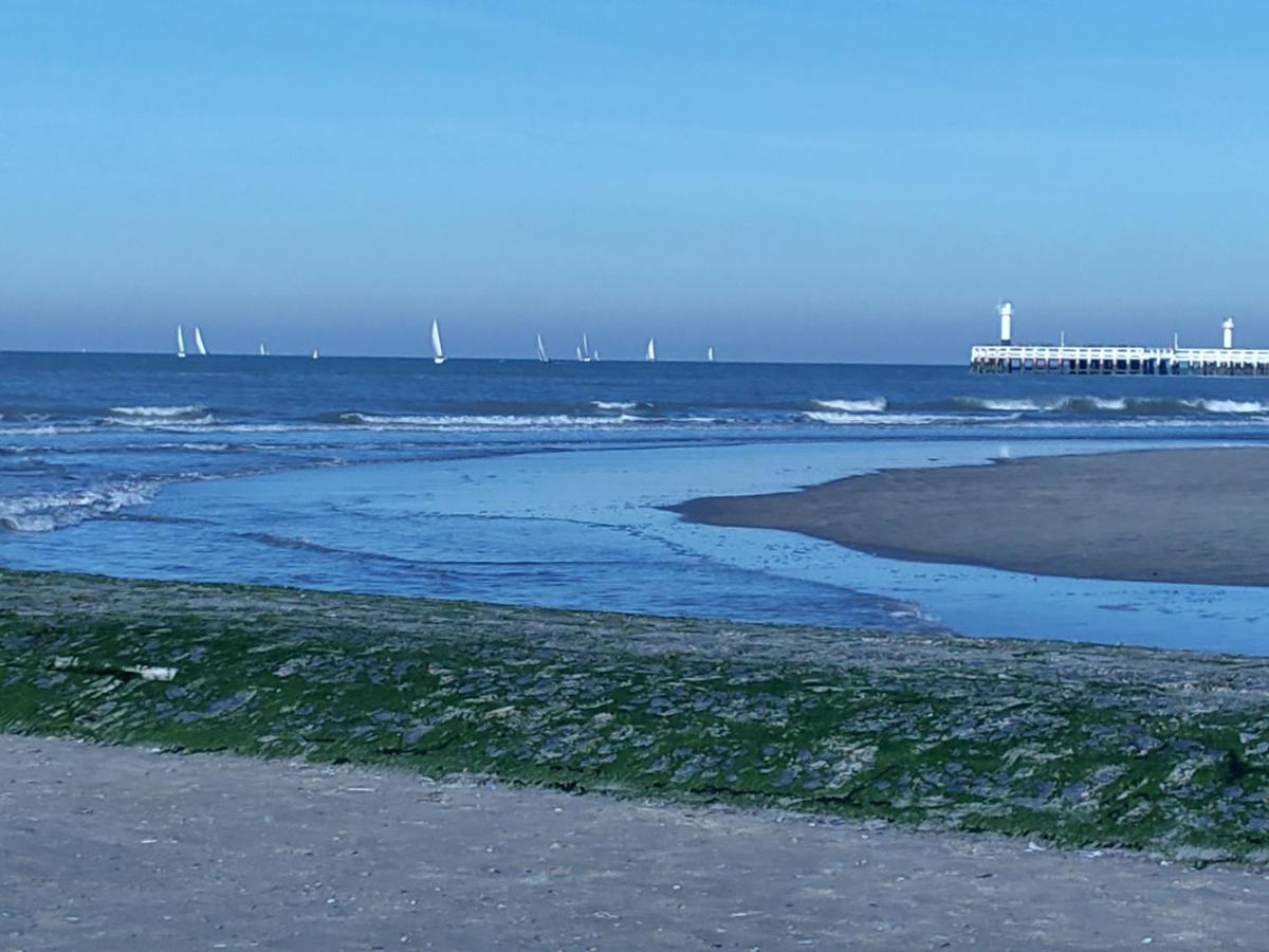 Studio Havenzicht Nieuwpoort Ngoại thất bức ảnh