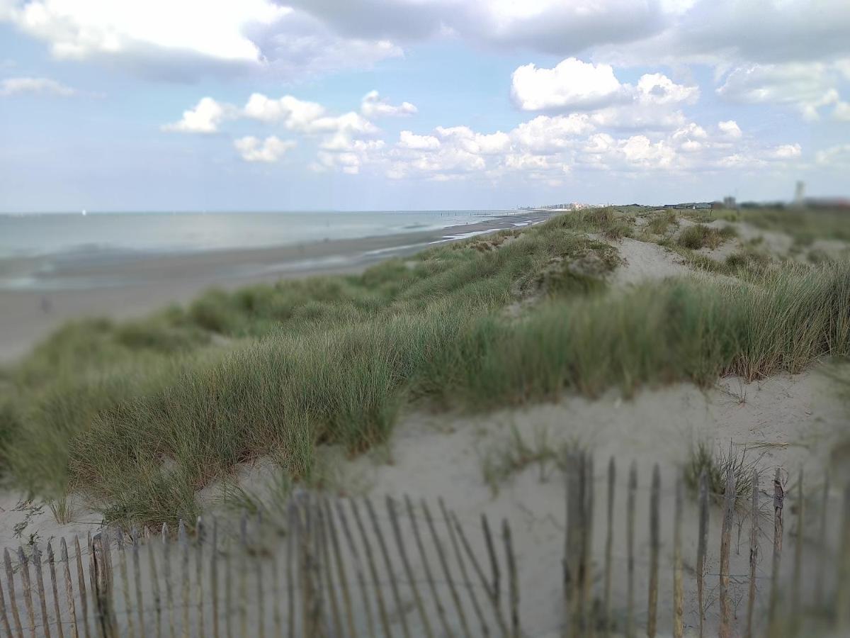Studio Havenzicht Nieuwpoort Ngoại thất bức ảnh